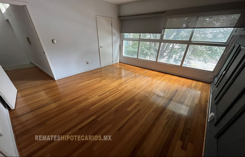 Rousseau 74 Anzures - 