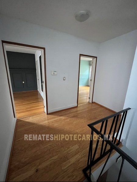 Rousseau 74 Anzures - 