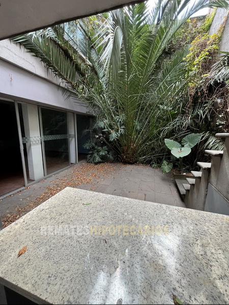 Rousseau 74 Anzures - 