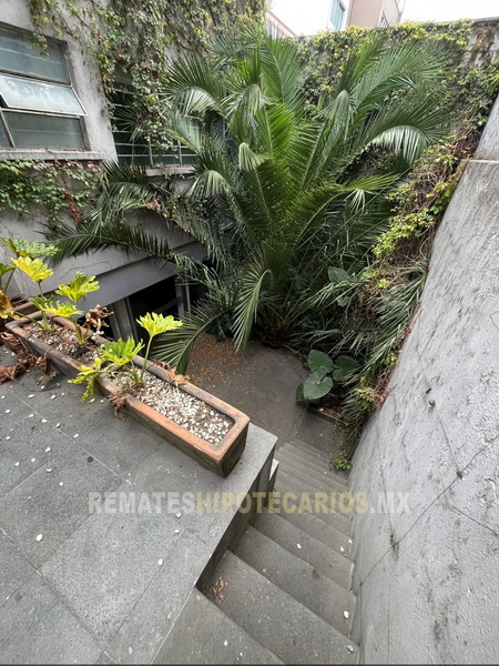 Rousseau 74 Anzures - 