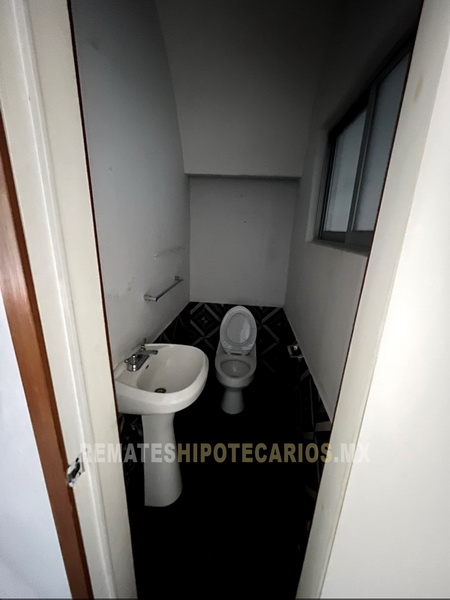 Rousseau 74 Anzures - 