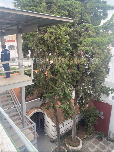 Edificio de Oficinas en Benito Juárez - 