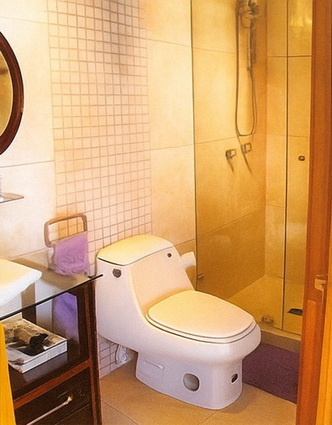 Pent House en Ciudad de los Deportes - 